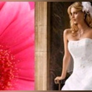 Meet your Posher, Olga